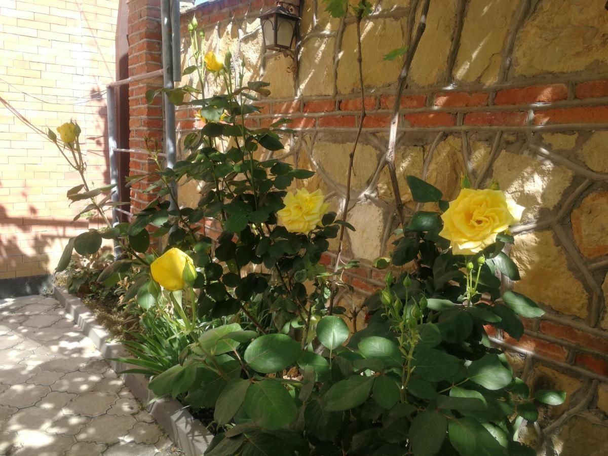 Проживание в семье 花中城-florette palace hotel Тбилиси-16