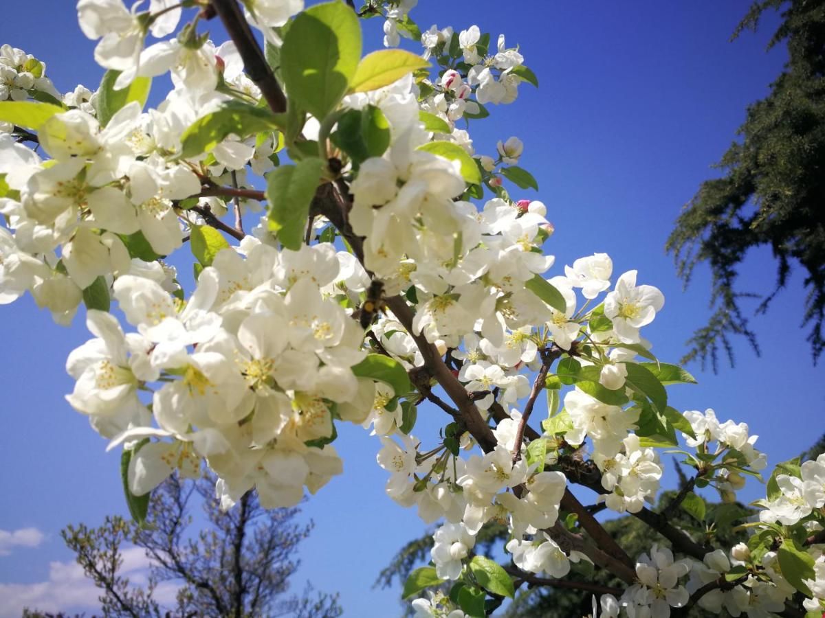 Проживание в семье 花中城-florette palace hotel Тбилиси-24