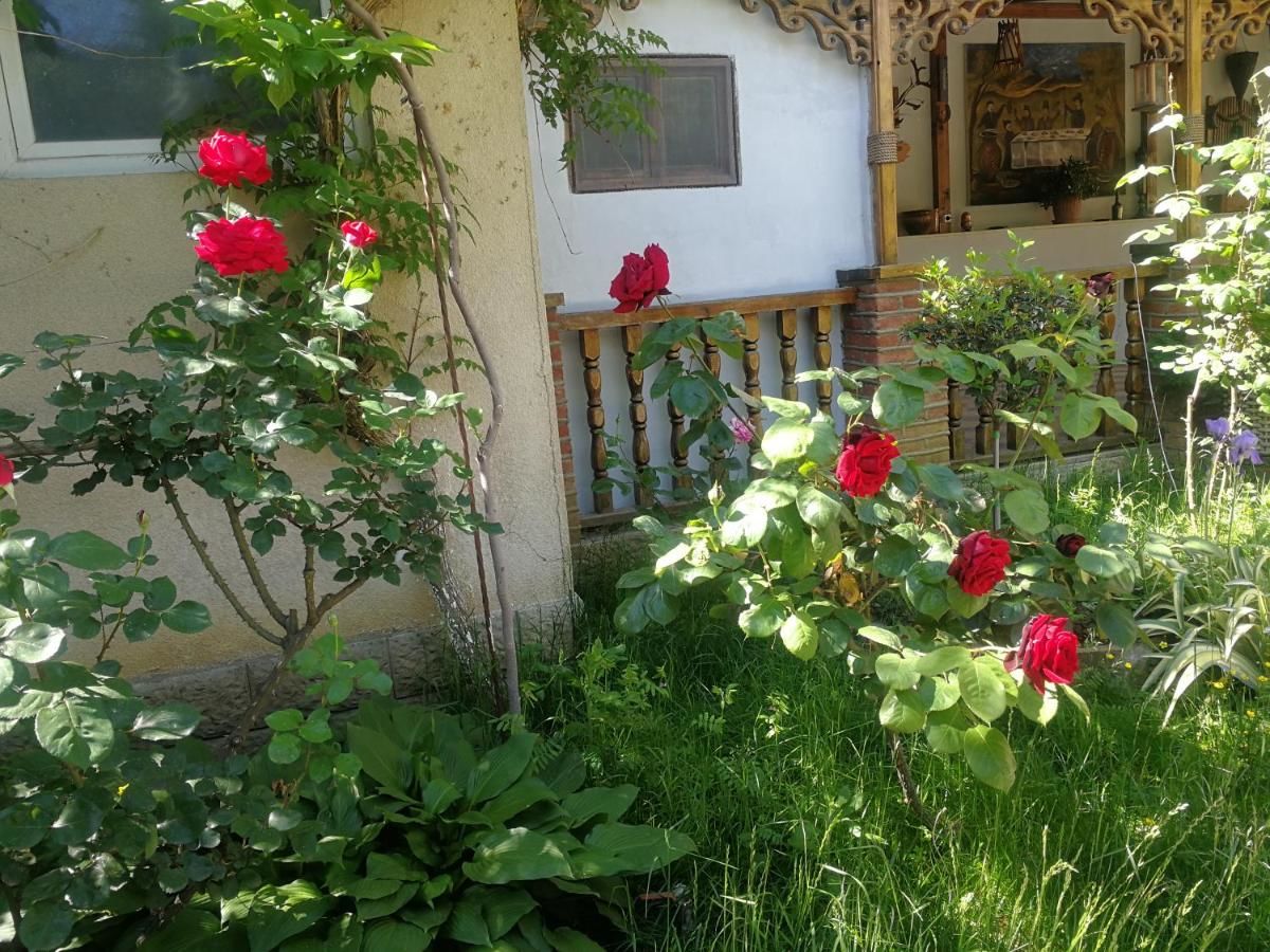 Проживание в семье 花中城-florette palace hotel Тбилиси-6