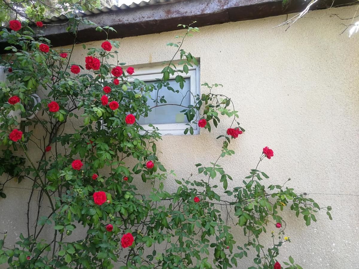 Проживание в семье 花中城-florette palace hotel Тбилиси-12