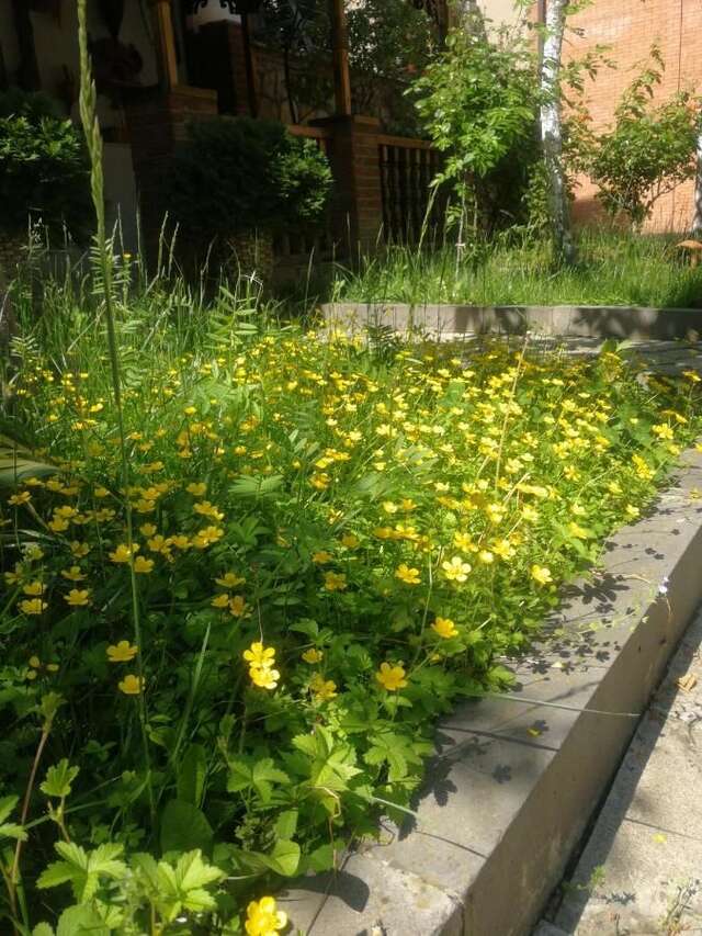 Проживание в семье 花中城-florette palace hotel Тбилиси-12